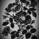 Stencil F035