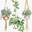 Χαρτοπετσέτα για decoupage, 1τεμ, Hanging plants