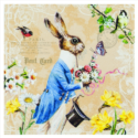 Χαρτοπετσέτα για decoupage, Mr Rabbit