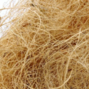 Ίνες κοκοφοίνικα Coco fibre natural