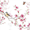 Χαρτοπετσέτα για Decoupage, Birds & Blossoms White 1 τεμ