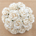 Λουλούδια WHITE CHELSEA ROSES, 35mm