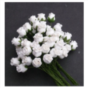 Λουλούδια WHITE HIP ROSE BUDS