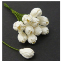 Λουλούδια WHITE TULIP FLOWERS -10 τεμ