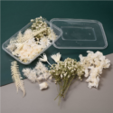Αποξηραμένα λουλούδια για Ρητίνη – Λευκά