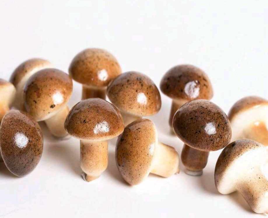 Μανιτάρι μίνι 10τεμάχια