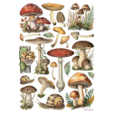 Ριζόχαρτο ντεκουπάζ Stamperia 21x29cm A4, Mushrooms 1000