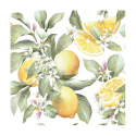 Χαρτοπετσέτα για decoupage, 1τεμ, Lemons