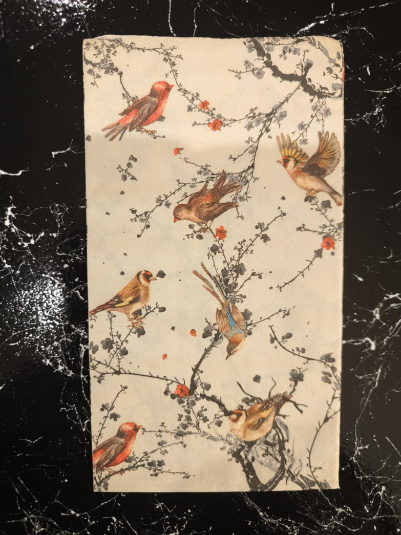 Χαρτοπετσέτα για decoupage 33×40εκ. πουλάκια σε μπεζ φόντο
