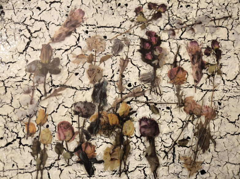 Transfer διάφορα λουλούδια