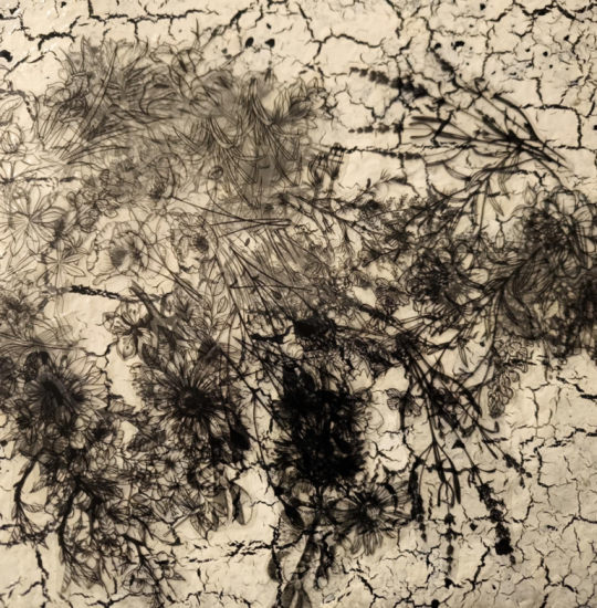 Transfer μαύρα λουλούδια