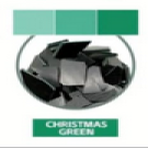 Χρώμα για κερί μάζας Christmas green 5γραμμ.