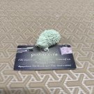 Πολυεστερικό στοιχείο σκαντζόχοιρος