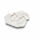 Καλούπι εξωτικά φύλλα 12χ7εκ.