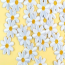 Μαργαρίτα υφασμάτινη 3χ3εκ. (1τεμάχιο)